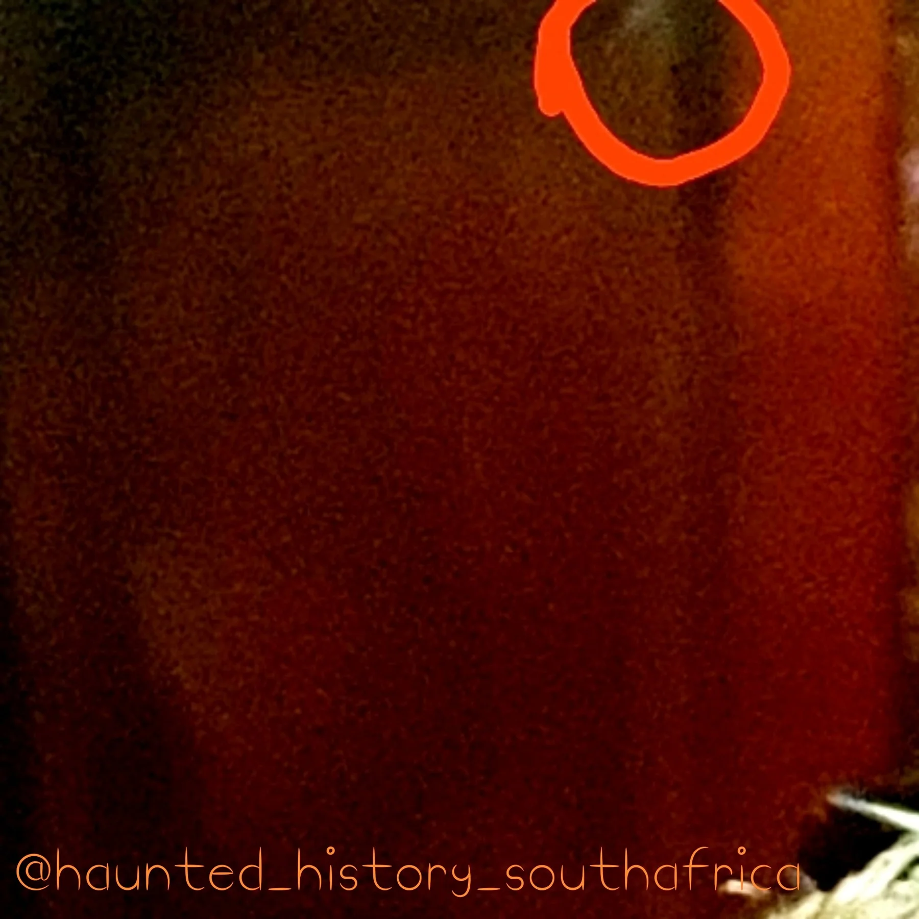 Oldest operational elevator in Cape Town. — original archive photograph